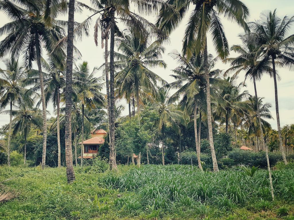 Talking Trees Hotel Panamaram Exterior photo